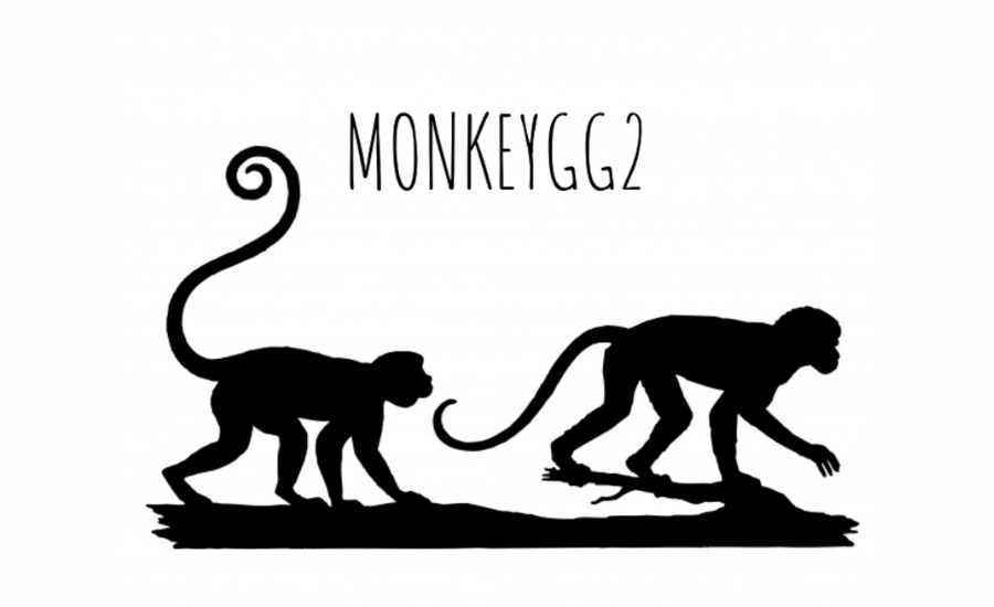 Monkey GG2